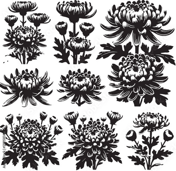 Fototapeta Black Color Chrysanthemums Silhouette Vector Illustration, Solid White Background. minimal vector design