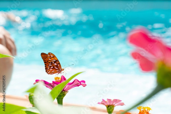 Fototapeta Mariposa playera