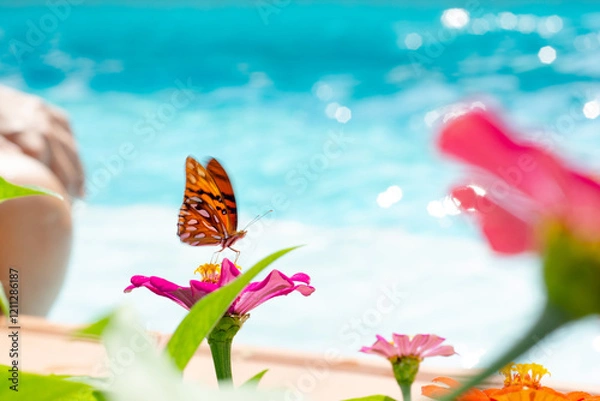 Fototapeta Monarca en la playa