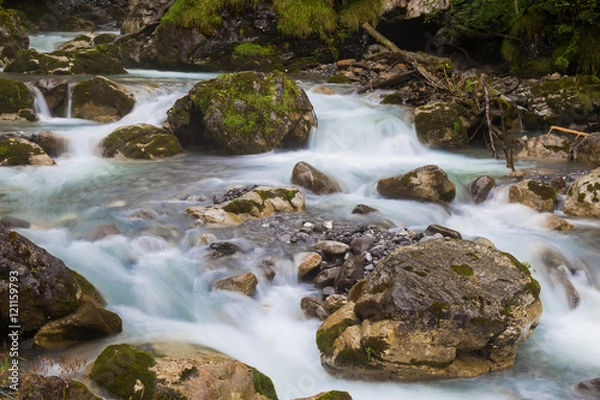Fototapeta fast forest river - endless stream