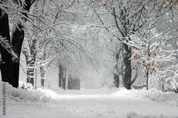 Obraz burza śnieżna