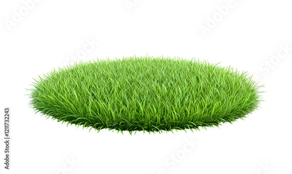 Fototapeta Lush green grass tuft, isolated, studio, backdrop, design