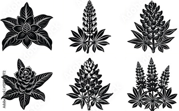 Fototapeta Set of Bluebonnet, Lupine, and Ginger Silhouette Vector Art Designs