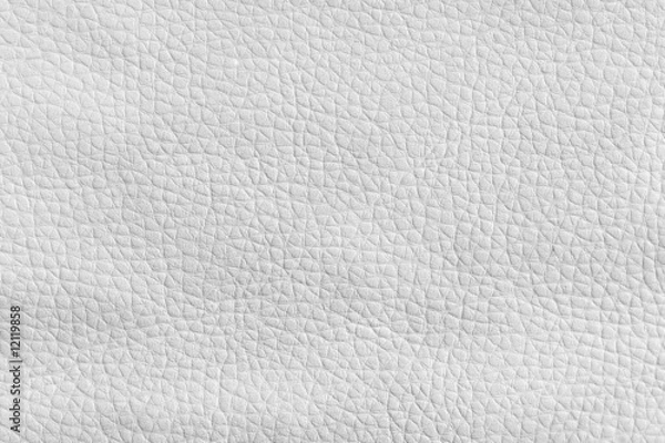Obraz texture- leather surface