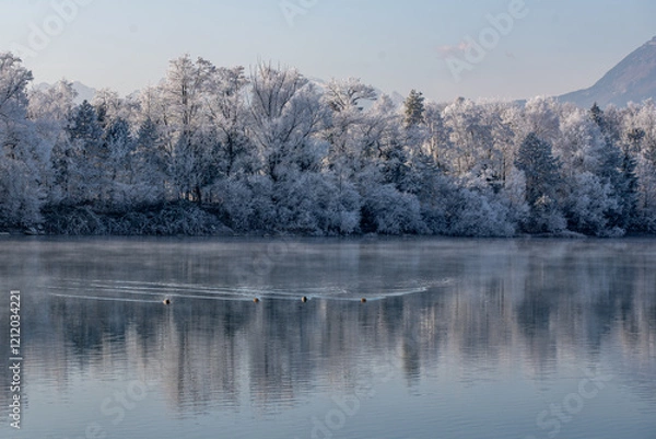 Obraz Winterlandschaft mit Enten
