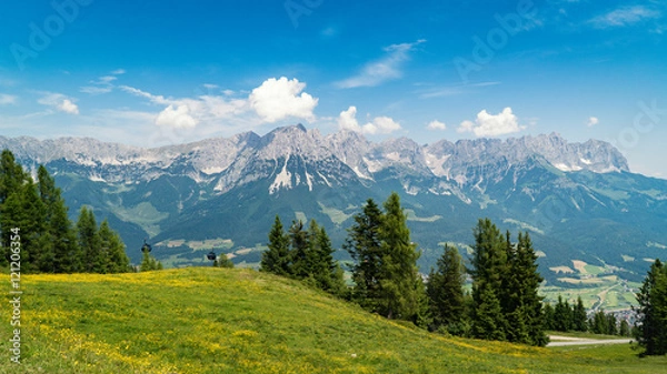 Fototapeta Sommerwiese mit Kaisergebirge