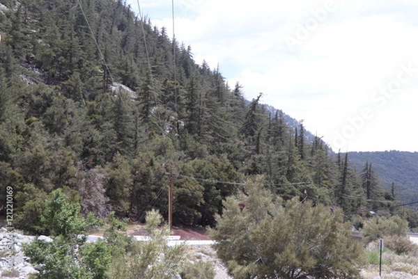 Fototapeta park state