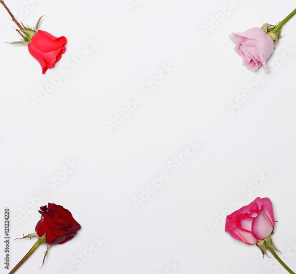 Fototapeta Four roses in four corners and blank space in middle for your te