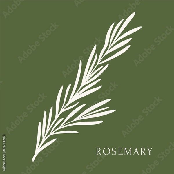 Fototapeta Rosemary branch on green background, flat vector illustration