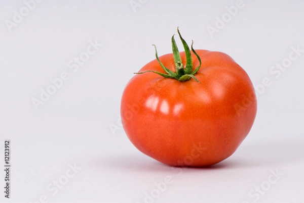 Obraz pomidor, tomato