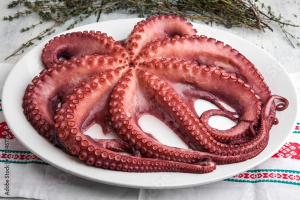 Obraz Pulpo cocido