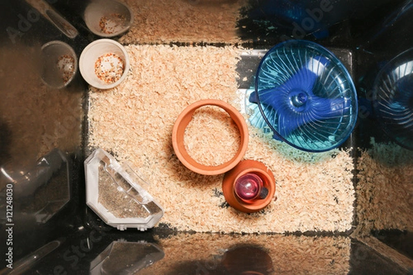 Obraz hamster cage with toy accessories