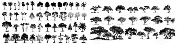 Fototapeta A modern black tree silhouette, part of an isolated set of forest trees on a white background