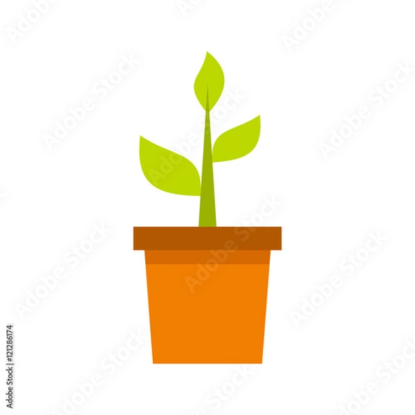 Fototapeta Plant in clay pot icon in flat style isolated on white background. Gardening symbol vector illustration