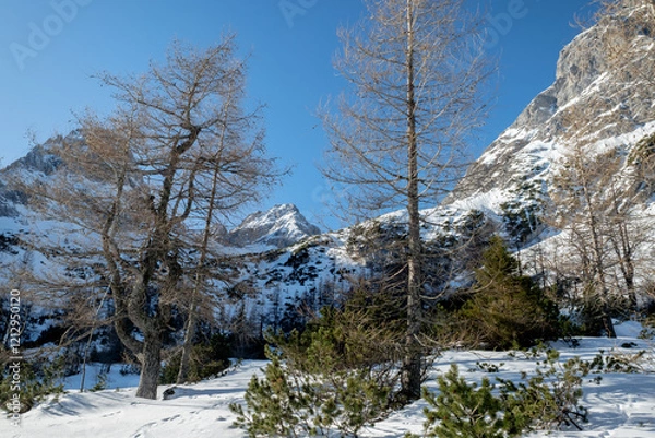 Obraz Winterliche Alpenlandschaft am Seebensee