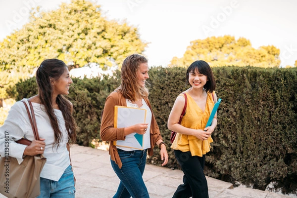 Obraz University exchange students walking and talking on campus