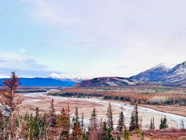 Obraz Winter is coming