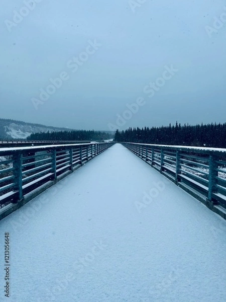 Obraz Snow Bridge