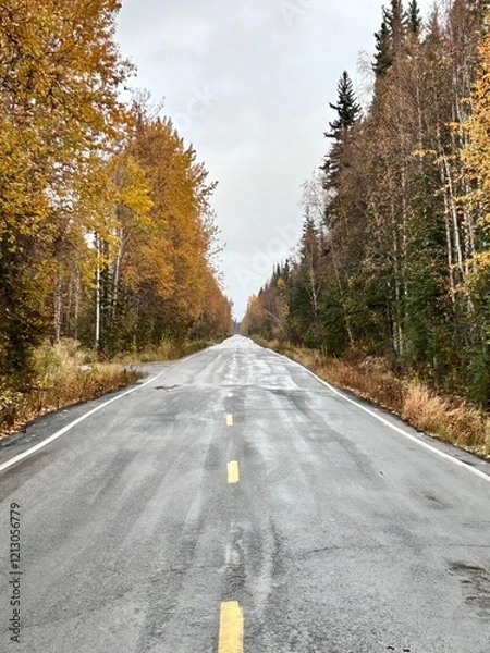 Obraz road in autumn