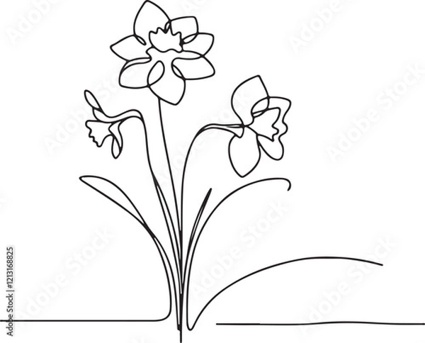 Obraz Daffodil Line Drawing Vector Art