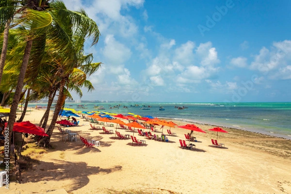 Obraz maceio praia tropical