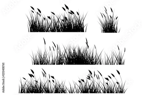 Obraz pampas grass silhouette set