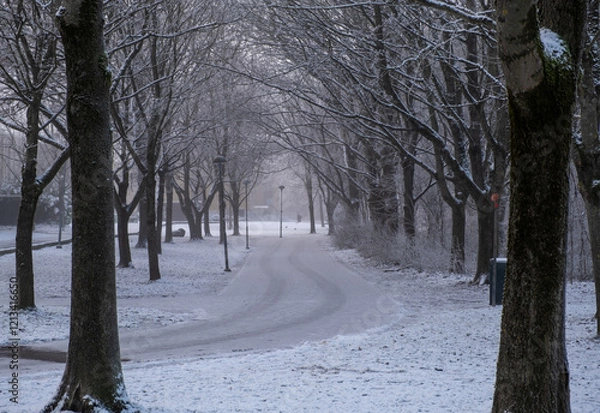 Obraz An enchanting icy road stretches through a picturesque tree-lined path.