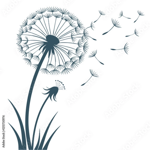 Obraz Dandelion silhouette vector illustration.with white background.