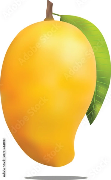 Obraz Realistic Ripe Mangoes Vector Illustration 