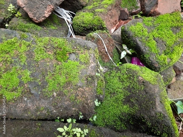 Obraz refreshing green mossy rocks, moss on rocks