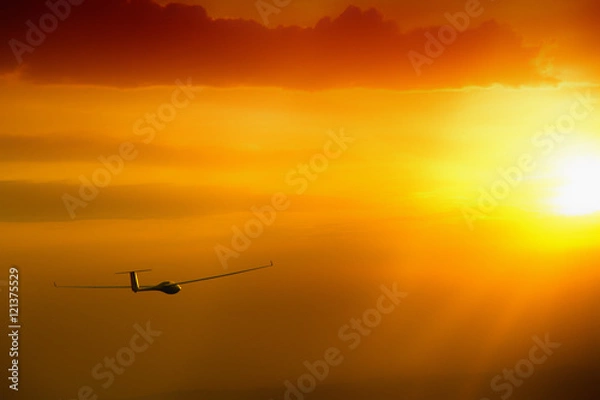 Obraz Gliding into the sun