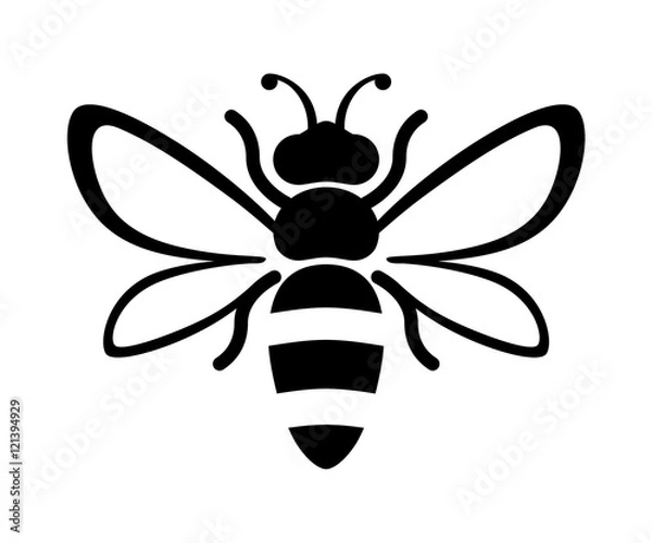Obraz Graficzna ilustracja sylwetka pszczoły miodnej. Na białym tle na tle wektor rysunek produktów miodu, opakowanie, projekt.