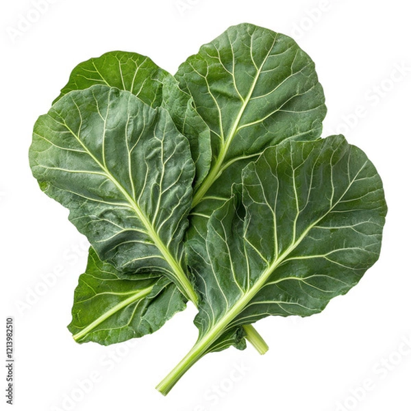 Fototapeta Green Collard Leaves Background on transparent background.