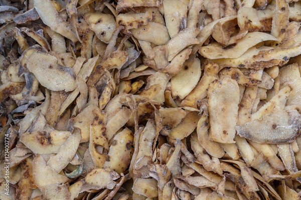 Obraz Potato waste