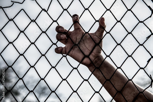 Fototapeta Hand with mesh cage, Hands with steel mesh fence.