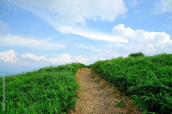 Fototapeta もうすぐ頂上