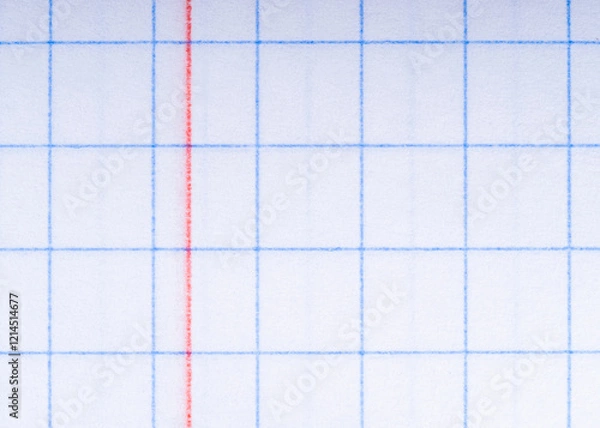 Fototapeta Close-Up of Graph Paper Page with Blue Grid and Red Margin Line