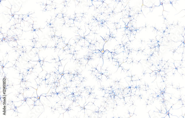 Fototapeta Neurons in the brain on white background with focus effect. 3d rendering