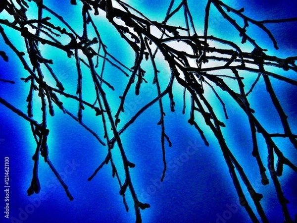 Fototapeta Dark branches tree covered ice after rain in frosty winter weather with blue sky  - abstract composition in blue and turquoise colors. Topics: vegetation, frost, climate, sub-zero temperatures, winter