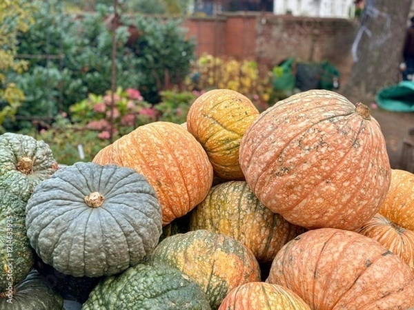 Obraz Kürbisfest III