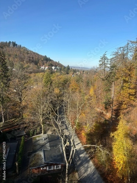 Fototapeta Harz von oben II