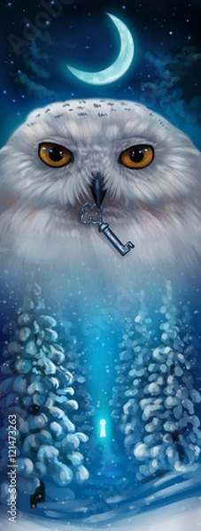 Obraz Сова зима
