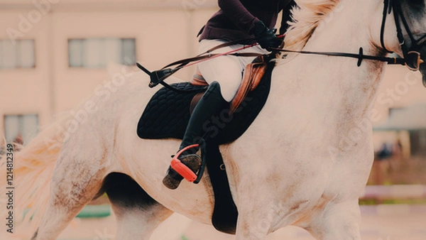 Obraz A rider is sitting on a white beautiful horse in the saddle. Horse galloping fast. This is an equestrian sport competition in horse riding.