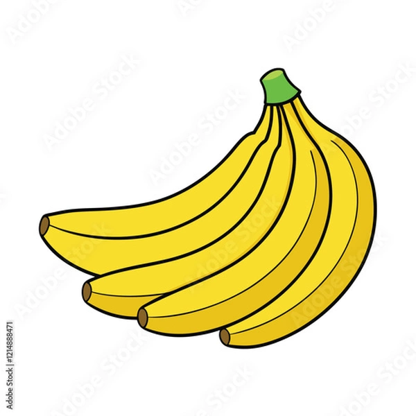 Fototapeta bananas isolated on white vector illustration