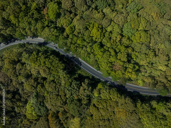 Fototapeta Forest road, road in a forest with fog, taken from a top down drone photo, A car is driving on an asphalt highway road through a dense green rainforest landscape in Thailand, In the style of comme