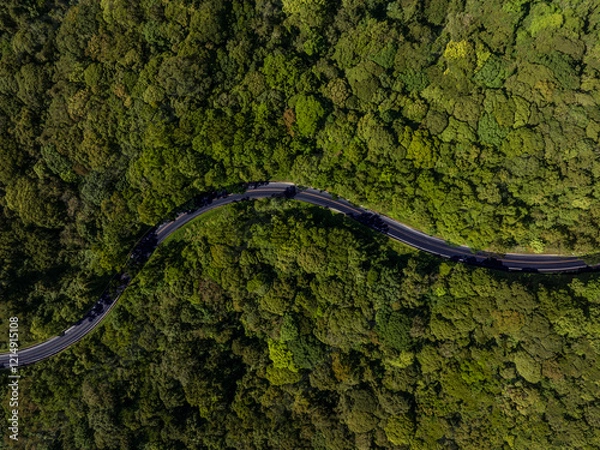 Fototapeta Forest road, road in a forest with fog, taken from a top down drone photo, A car is driving on an asphalt highway road through a dense green rainforest landscape in Thailand, In the style of comme