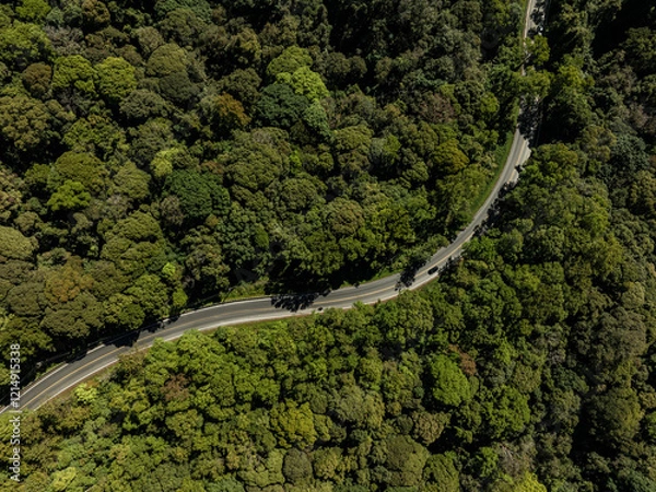 Fototapeta Forest road, road in a forest with fog, taken from a top down drone photo, A car is driving on an asphalt highway road through a dense green rainforest landscape in Thailand, In the style of comme