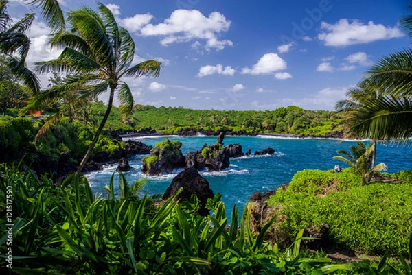 Obraz coastline, waianapanapa state park, maui