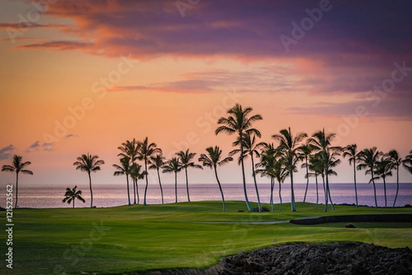 Obraz Hawaii Palm Tree Sunset 2
