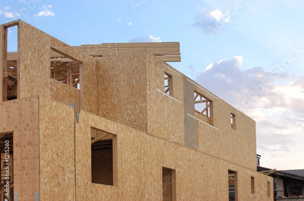 Obraz unfinished constructin